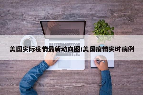 美国实际疫情最新动向图/美国疫情实时病例
