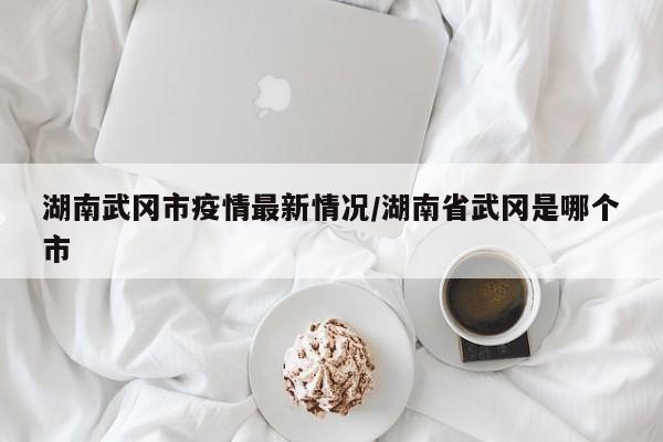 湖南武冈市疫情最新情况/湖南省武冈是哪个市